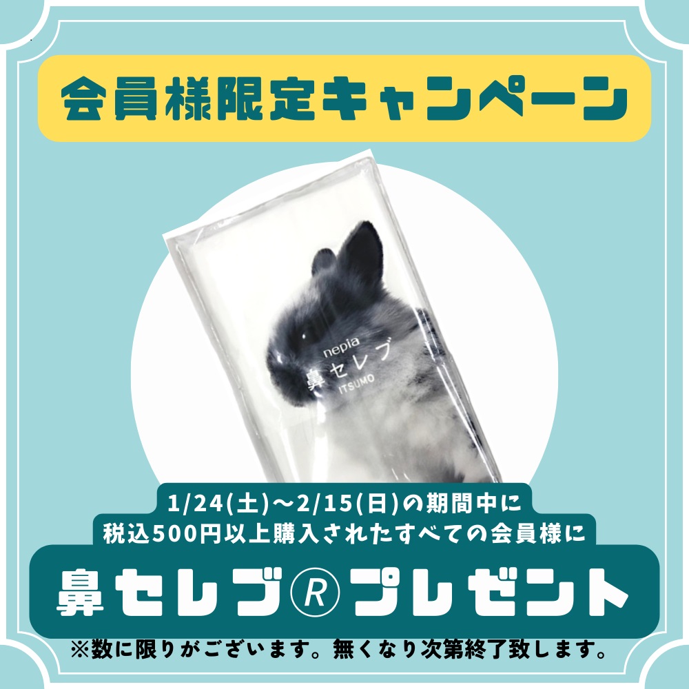 ｡.ꕤ‿会員様限定！鼻セレブプレゼント‿ꕤ.｡