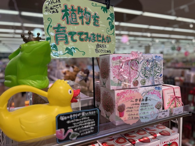 おうちで楽しむ、やさしいグリーン時間